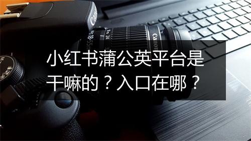 小红书蒲公英平台是干嘛的？入口在哪？