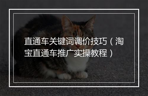 直通车关键词调价技巧（淘宝直通车推广实操教程）