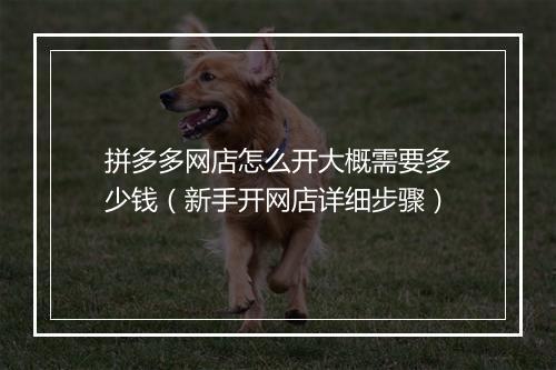 拼多多网店怎么开大概需要多少钱（新手开网店详细步骤）