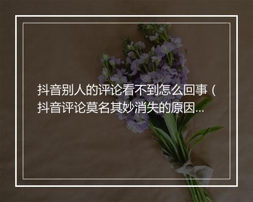 抖音别人的评论看不到怎么回事（抖音评论莫名其妙消失的原因）