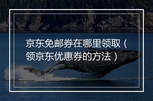京东免邮券在哪里领取（领京东优惠券的方法）