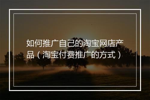 如何推广自己的淘宝网店产品（淘宝付费推广的方式）
