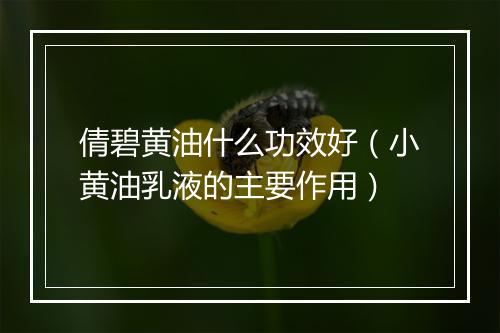 倩碧黄油什么功效好（小黄油乳液的主要作用）