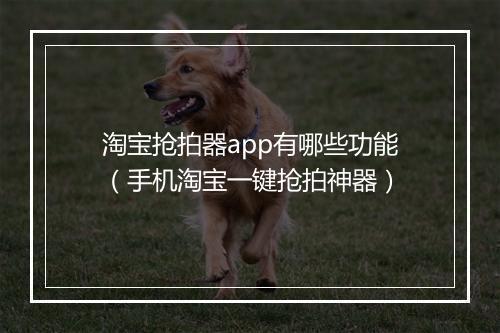 淘宝抢拍器app有哪些功能（手机淘宝一键抢拍神器）