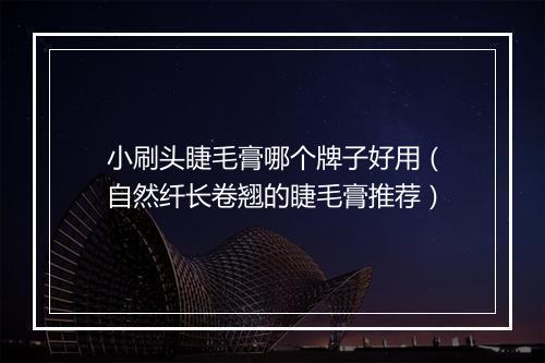 小刷头睫毛膏哪个牌子好用（自然纤长卷翘的睫毛膏推荐）