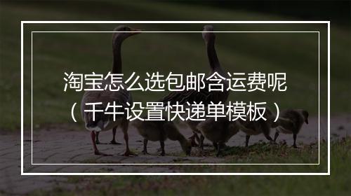 淘宝怎么选包邮含运费呢（千牛设置快递单模板）