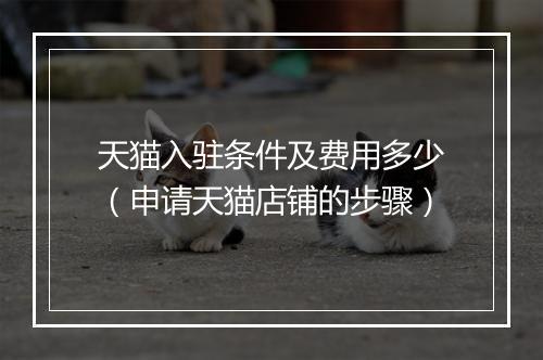 天猫入驻条件及费用多少（申请天猫店铺的步骤）