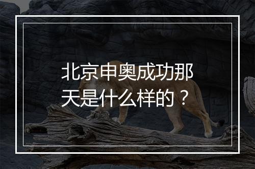 北京申奥成功那天是什么样的？
