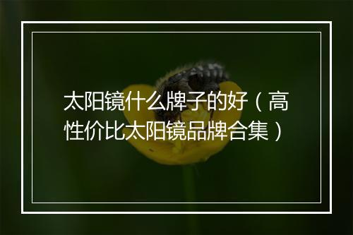 太阳镜什么牌子的好（高性价比太阳镜品牌合集）