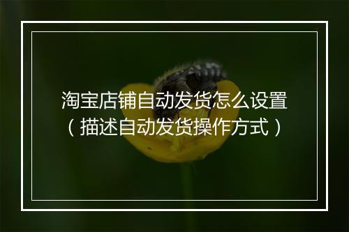 淘宝店铺自动发货怎么设置（描述自动发货操作方式）