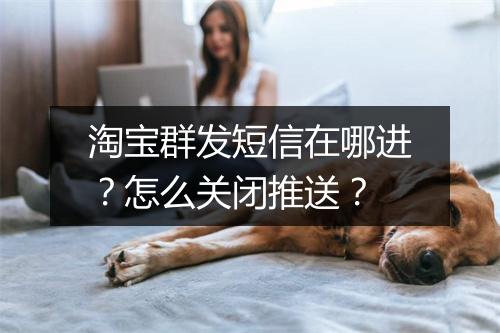淘宝群发短信在哪进？怎么关闭推送？