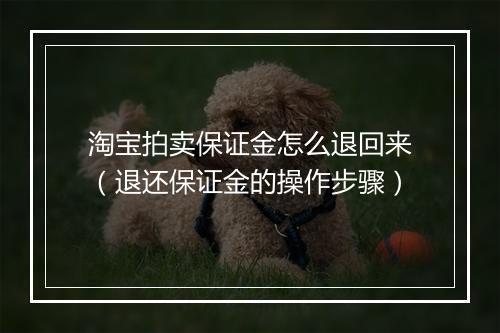 淘宝拍卖保证金怎么退回来（退还保证金的操作步骤）