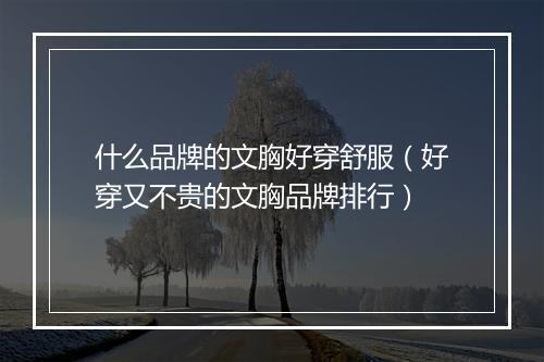 什么品牌的文胸好穿舒服（好穿又不贵的文胸品牌排行）