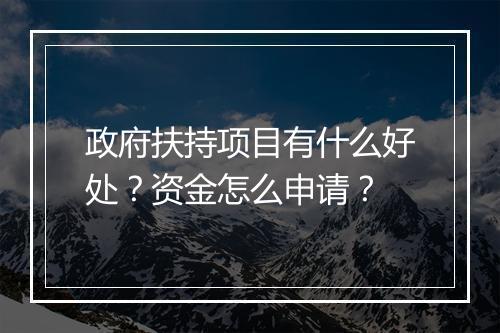 政府扶持项目有什么好处？资金怎么申请？