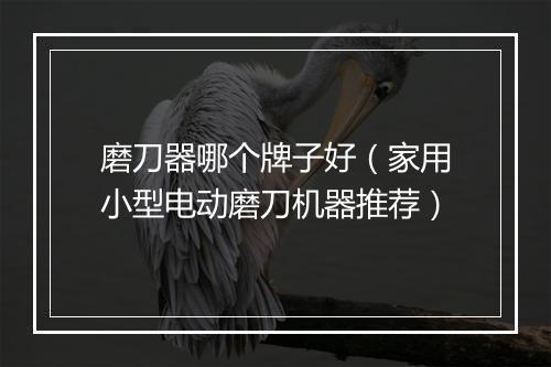 磨刀器哪个牌子好（家用小型电动磨刀机器推荐）