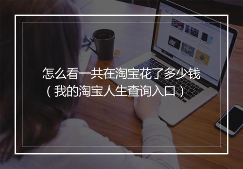 怎么看一共在淘宝花了多少钱（我的淘宝人生查询入口）