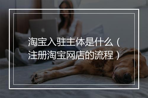 淘宝入驻主体是什么（注册淘宝网店的流程）