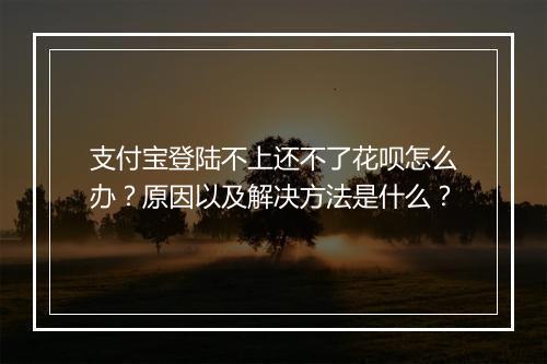 支付宝登陆不上还不了花呗怎么办？原因以及解决方法是什么？