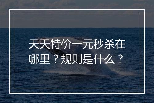 天天特价一元秒杀在哪里？规则是什么？
