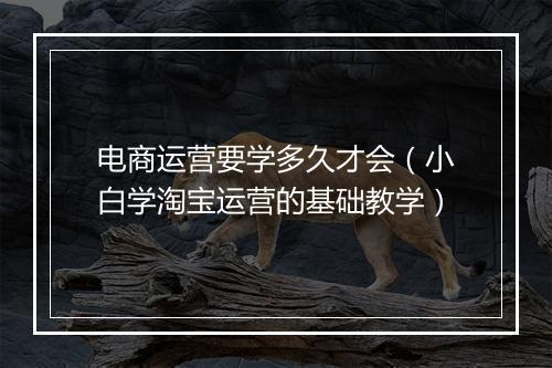 电商运营要学多久才会（小白学淘宝运营的基础教学）