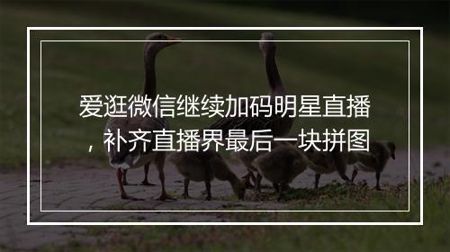 爱逛微信继续加码明星直播，补齐直播界最后一块拼图