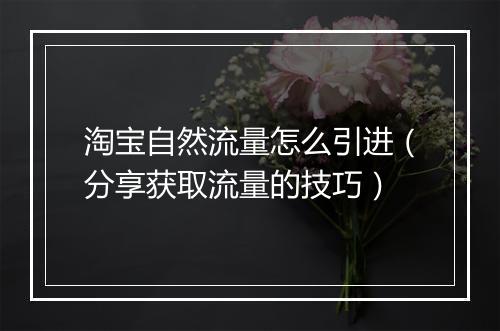 淘宝自然流量怎么引进（分享获取流量的技巧）