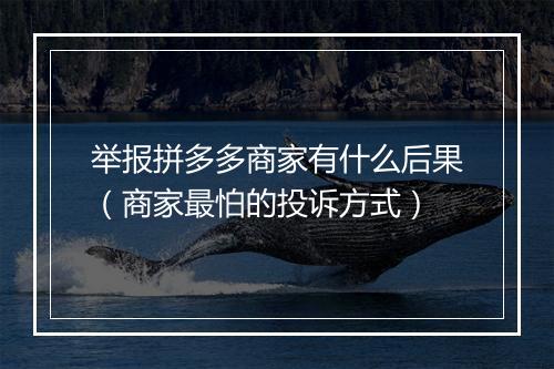 举报拼多多商家有什么后果（商家最怕的投诉方式）