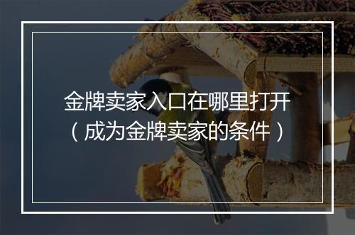 金牌卖家入口在哪里打开（成为金牌卖家的条件）