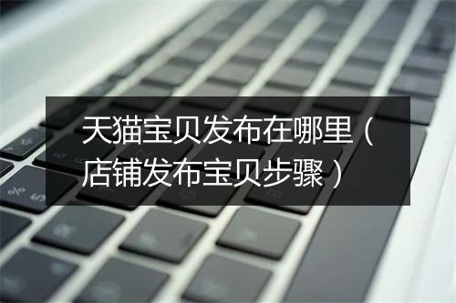天猫宝贝发布在哪里（店铺发布宝贝步骤）