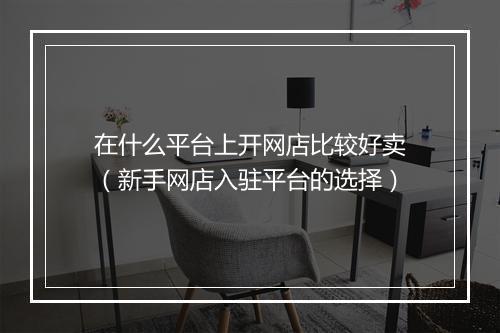 在什么平台上开网店比较好卖（新手网店入驻平台的选择）