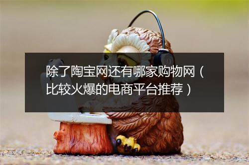 除了陶宝网还有哪家购物网（比较火爆的电商平台推荐）