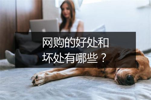 网购的好处和坏处有哪些？