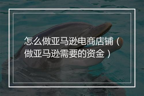 怎么做亚马逊电商店铺（做亚马逊需要的资金）
