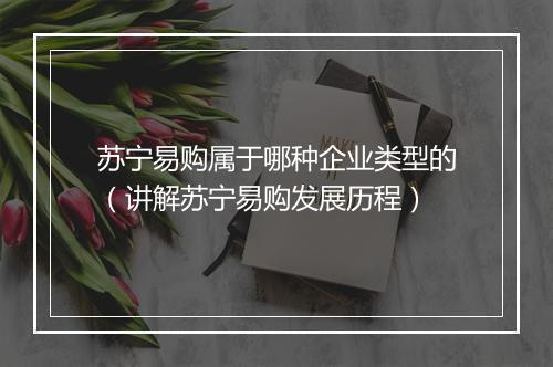 苏宁易购属于哪种企业类型的（讲解苏宁易购发展历程）