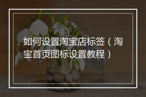 如何设置淘宝店标签（淘宝首页图标设置教程）