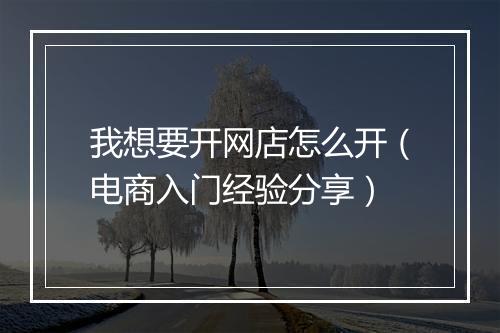 我想要开网店怎么开（电商入门经验分享）