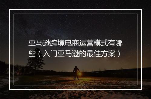 亚马逊跨境电商运营模式有哪些（入门亚马逊的最佳方案）