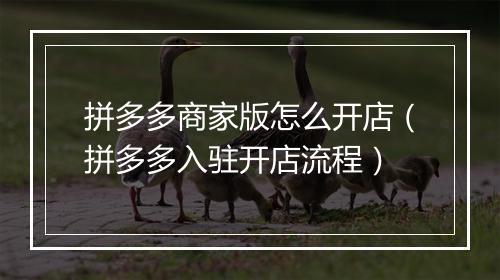 拼多多商家版怎么开店（拼多多入驻开店流程）