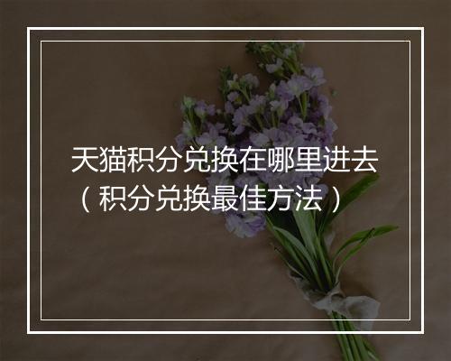 天猫积分兑换在哪里进去（积分兑换最佳方法）