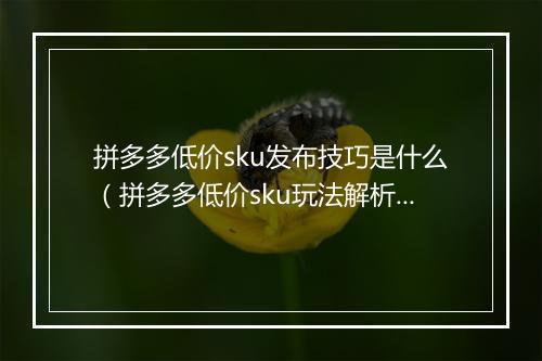 拼多多低价sku发布技巧是什么（拼多多低价sku玩法解析）