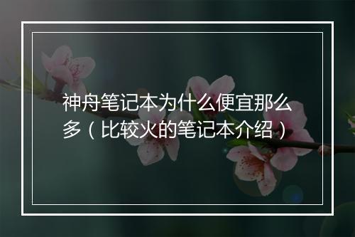 神舟笔记本为什么便宜那么多（比较火的笔记本介绍）