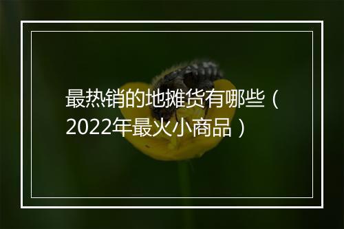 最热销的地摊货有哪些（2022年最火小商品）
