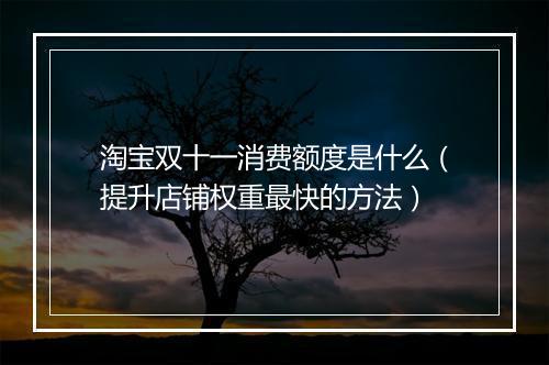 淘宝双十一消费额度是什么（提升店铺权重最快的方法）