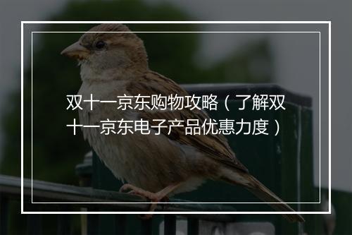 双十一京东购物攻略（了解双十一京东电子产品优惠力度）