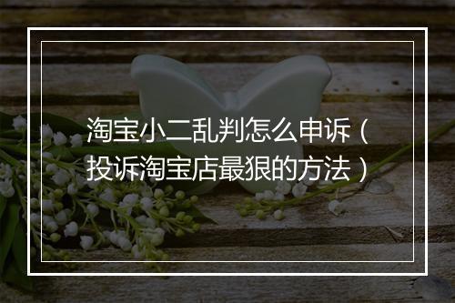 淘宝小二乱判怎么申诉（投诉淘宝店最狠的方法）