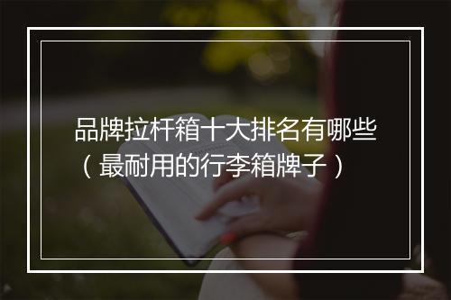 品牌拉杆箱十大排名有哪些（最耐用的行李箱牌子）