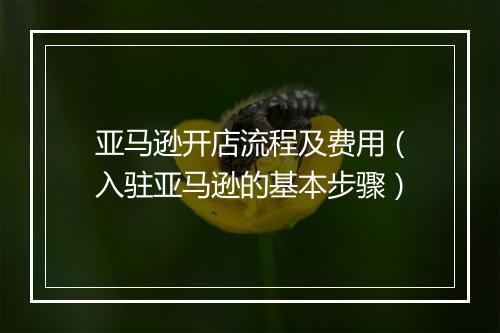 亚马逊开店流程及费用（入驻亚马逊的基本步骤）