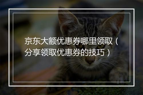 京东大额优惠券哪里领取（分享领取优惠券的技巧）