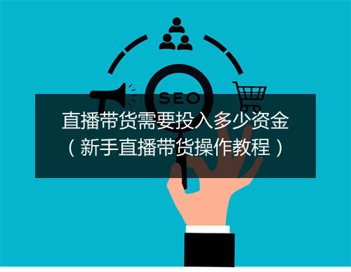 直播带货需要投入多少资金（新手直播带货操作教程）
