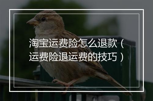 淘宝运费险怎么退款（运费险退运费的技巧）